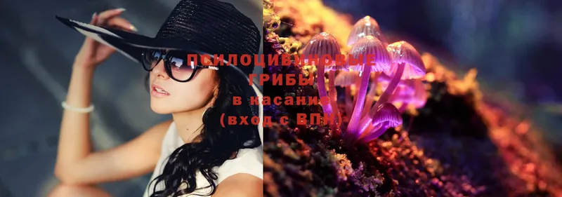 Псилоцибиновые грибы Magic Shrooms  Дальнереченск 